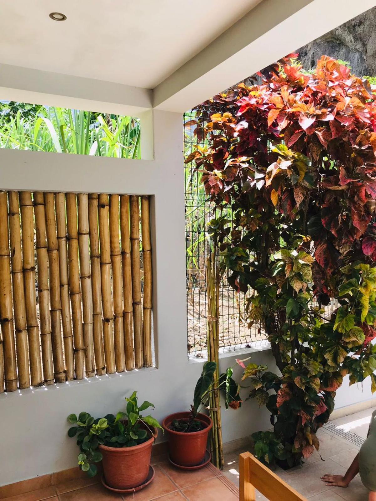 Residencial Lela D'Fermina Hotel Pombas Ngoại thất bức ảnh